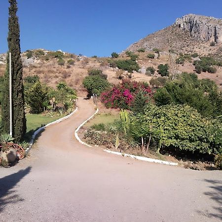 Finca Santa Matilde Malaga Exterior photo