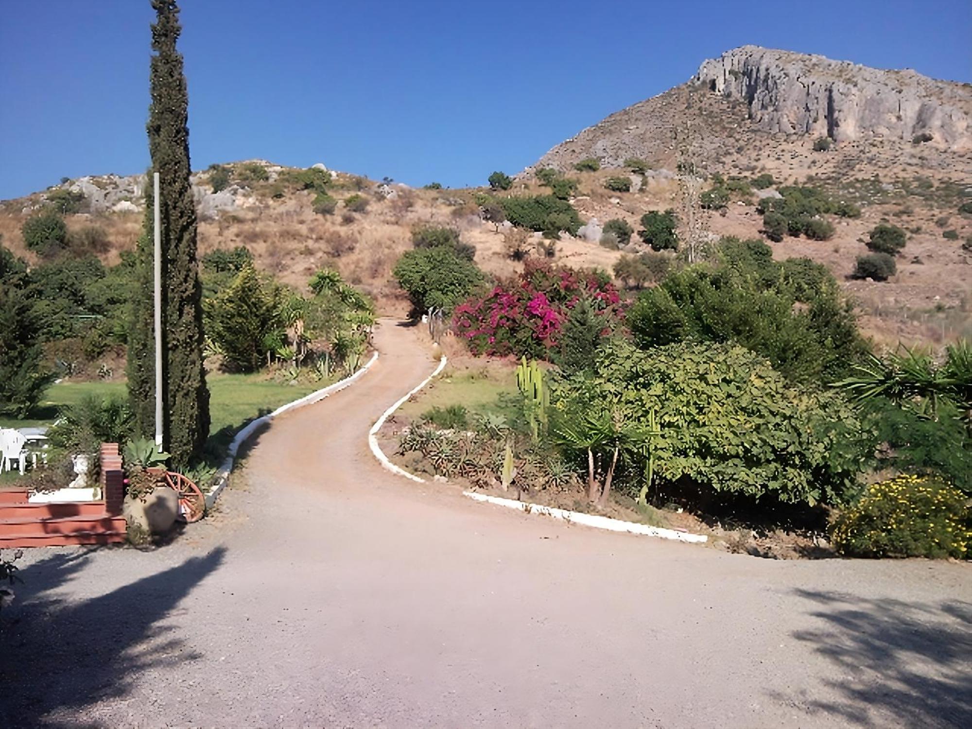 Finca Santa Matilde Malaga Exterior photo